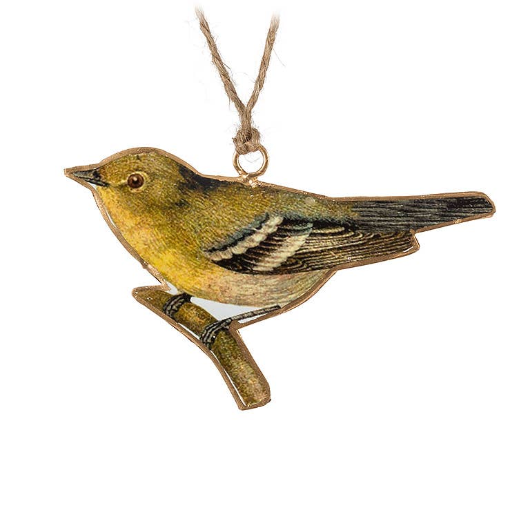 Colorful Bird Ornament