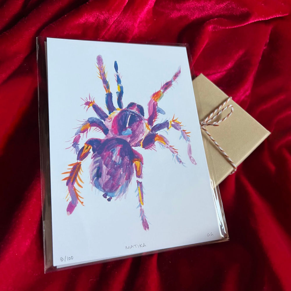 Chaco Golden Knee Tarantula Card