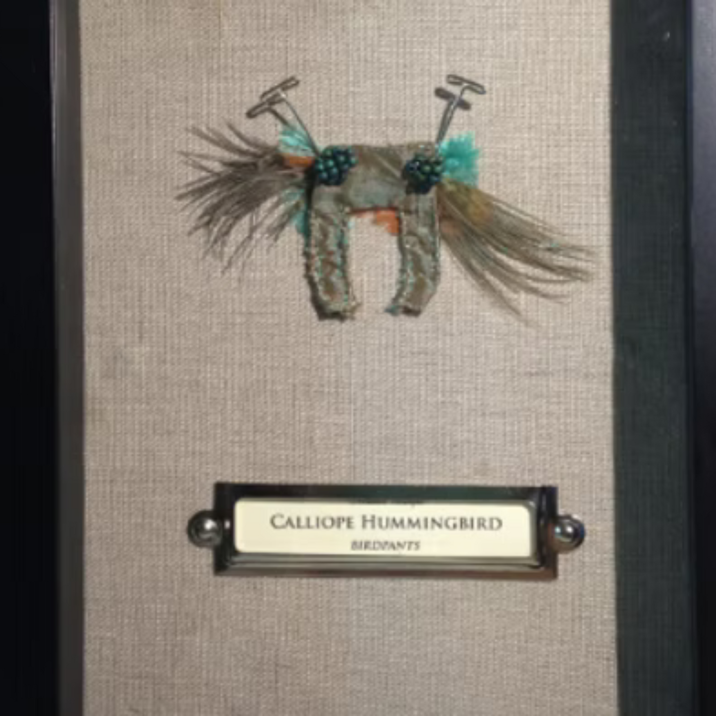 Calliope Hummingbird Birdpants by Pillbug Designs