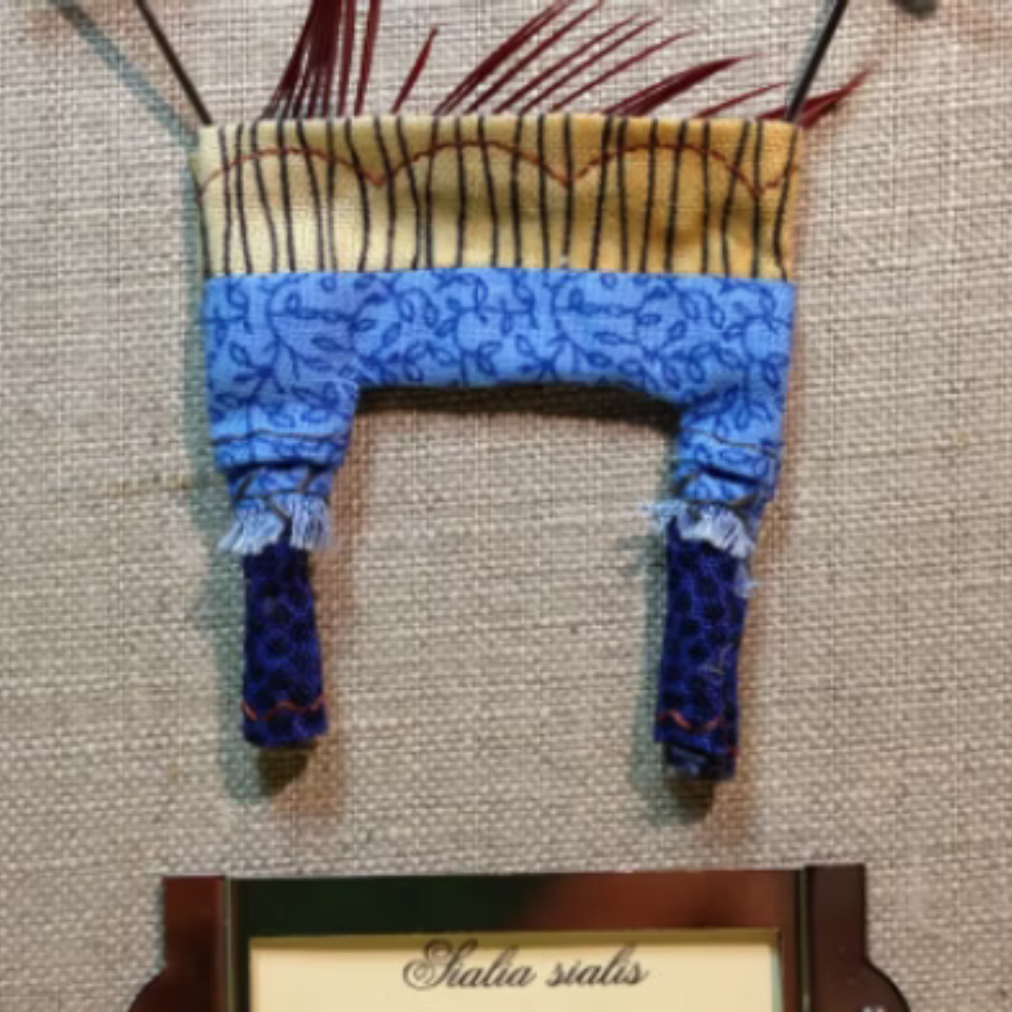 Eastern Bluebird Birdpants by Pillbug Designs