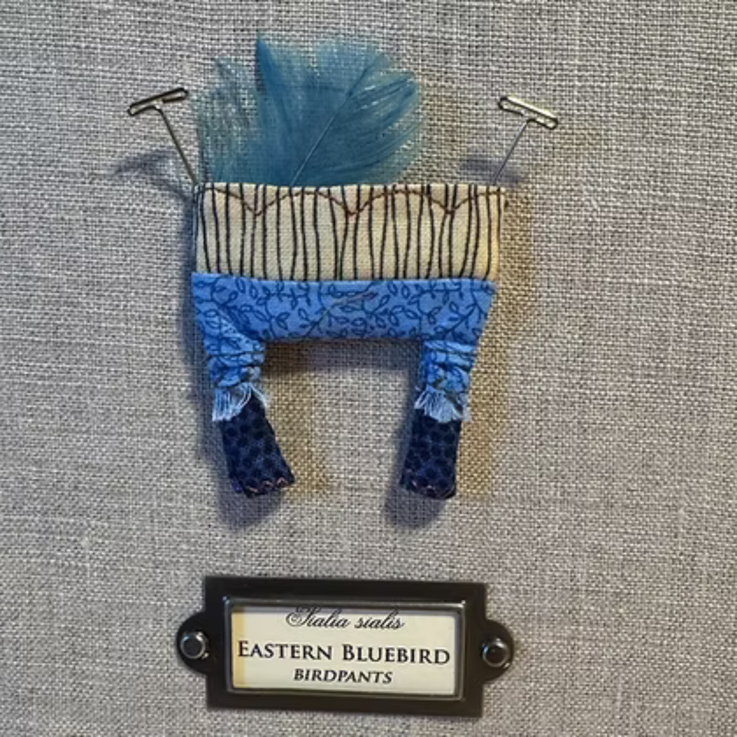 Eastern Bluebird Birdpants by Pillbug Designs