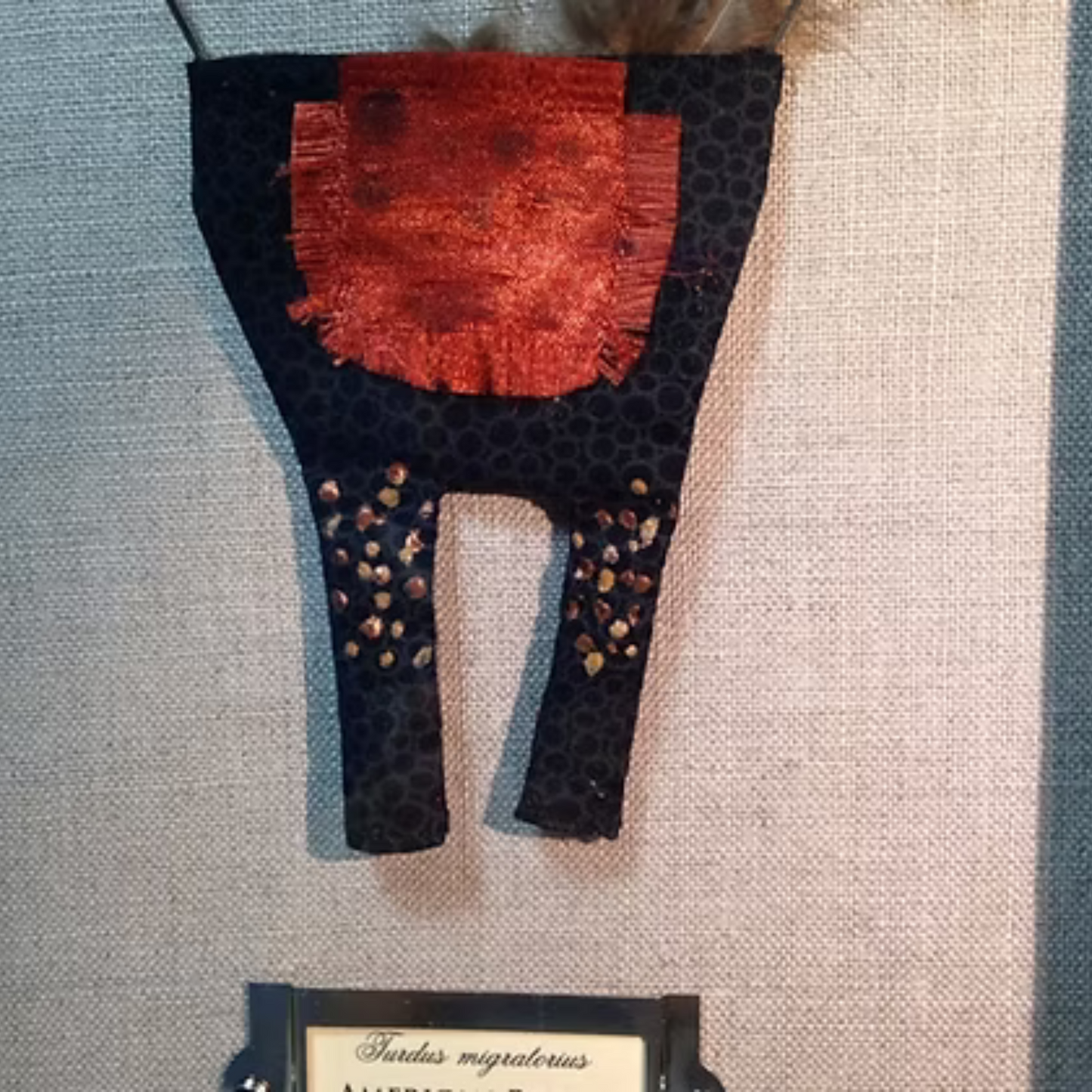 American Robin Birdpants by Pillbug Designs