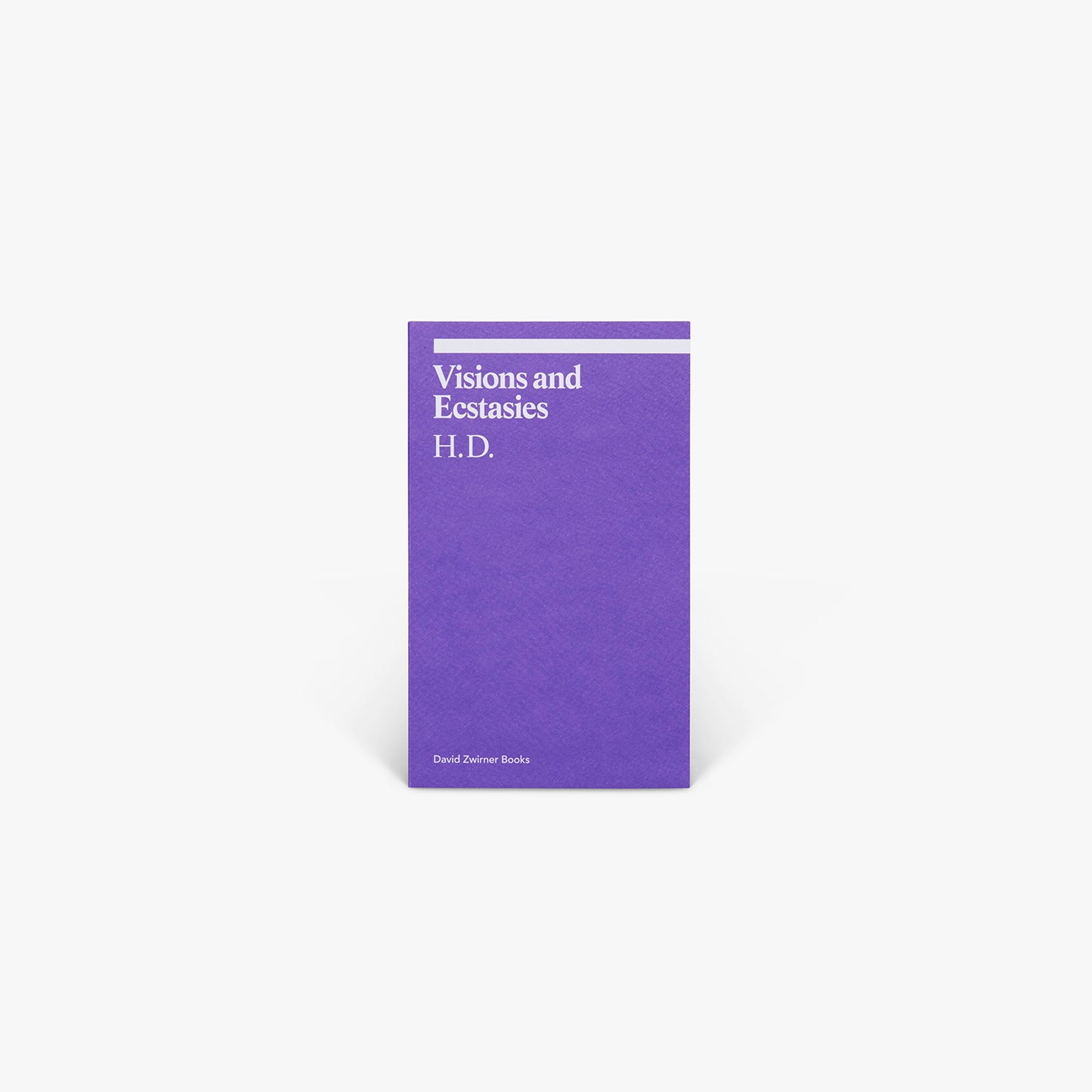 Visions and Ecstasies: Selected Essays Book (ekphrasis)