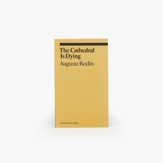 The Cathedral Is Dying Book (ekphrasis)