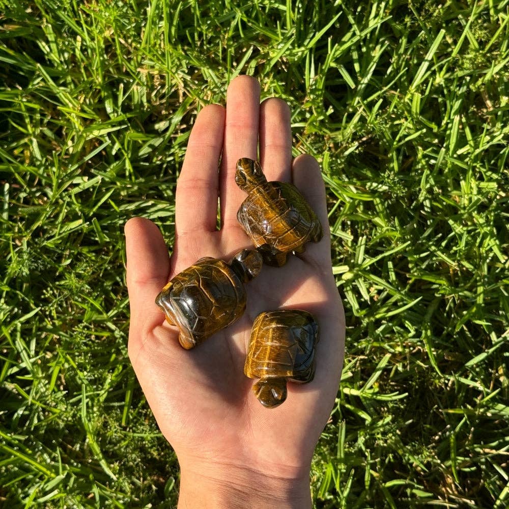 Crystal Turtle - Tiger's Eye
