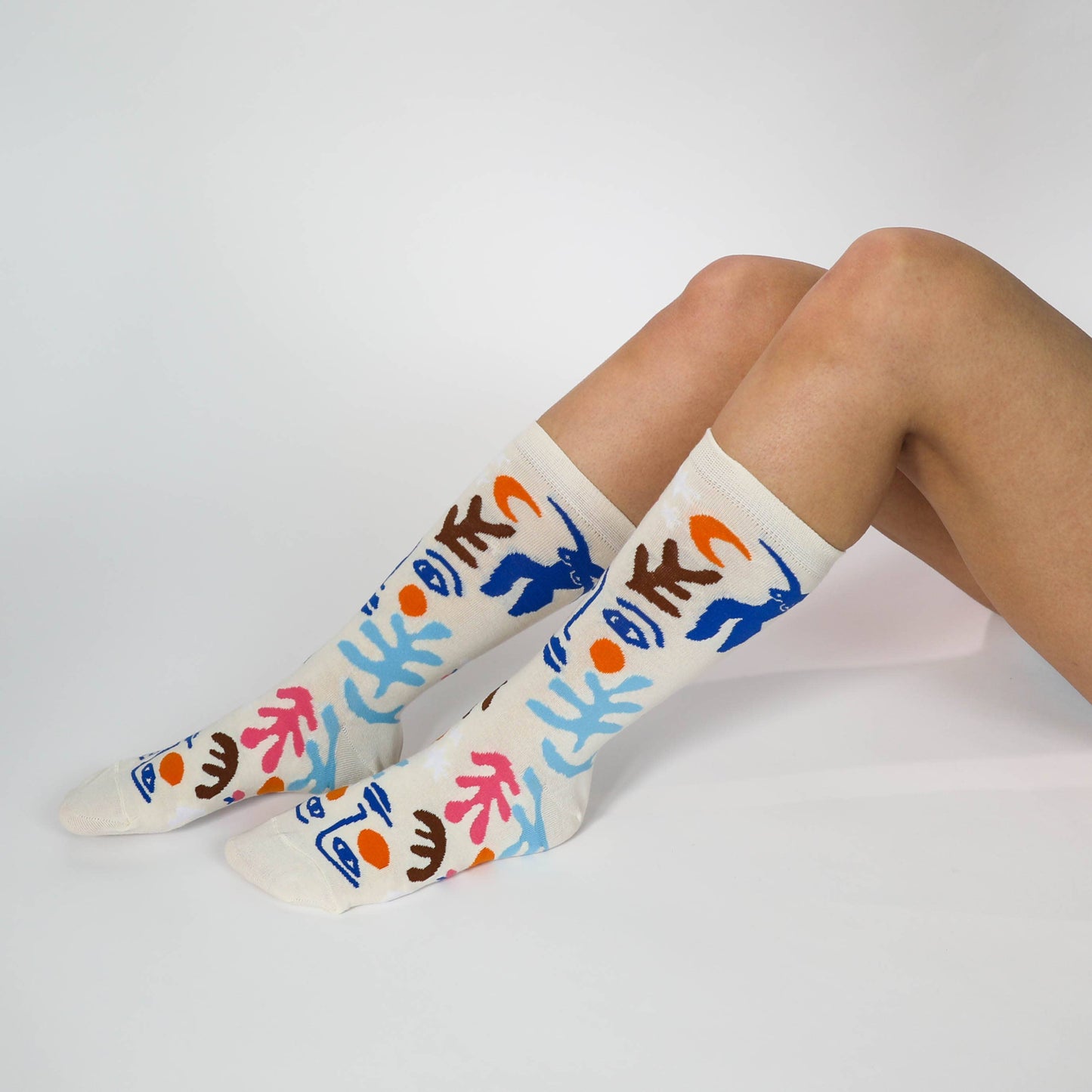 Small Socks - Matisse Art Socks