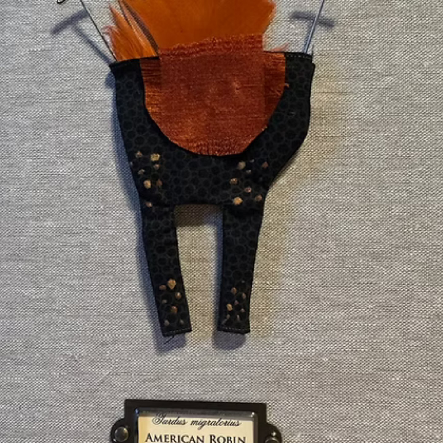 American Robin Birdpants by Pillbug Designs