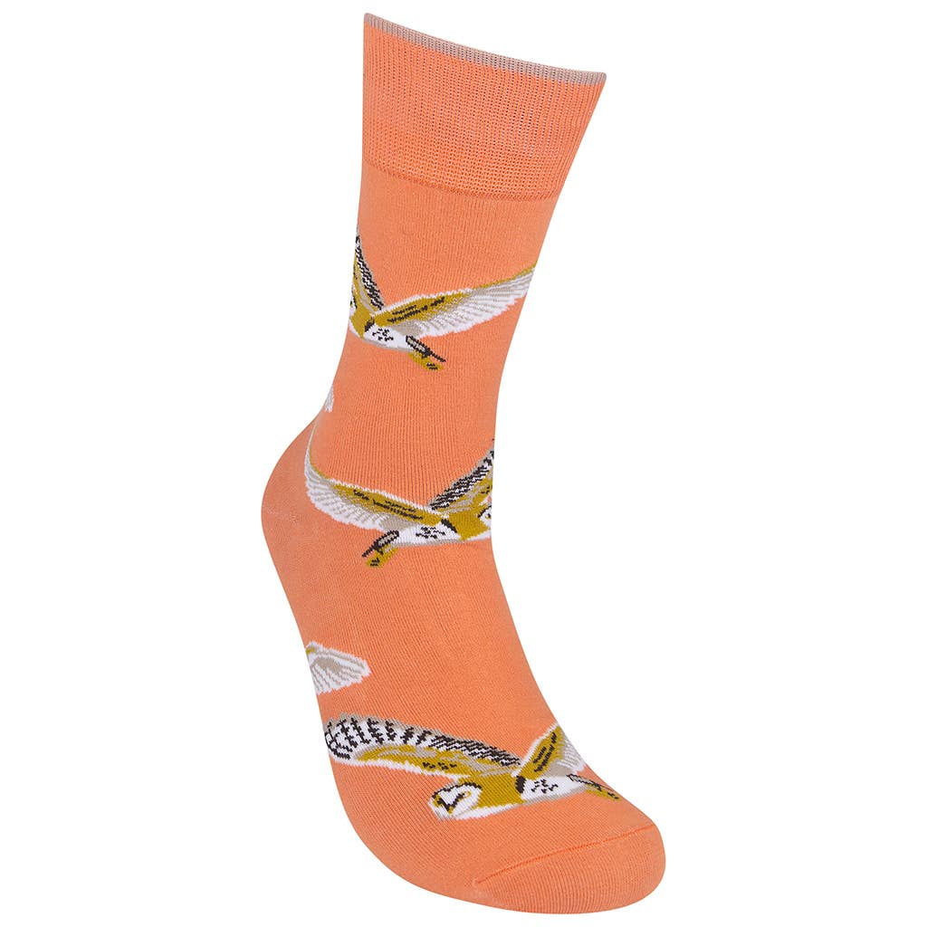 Barn Owls Socks