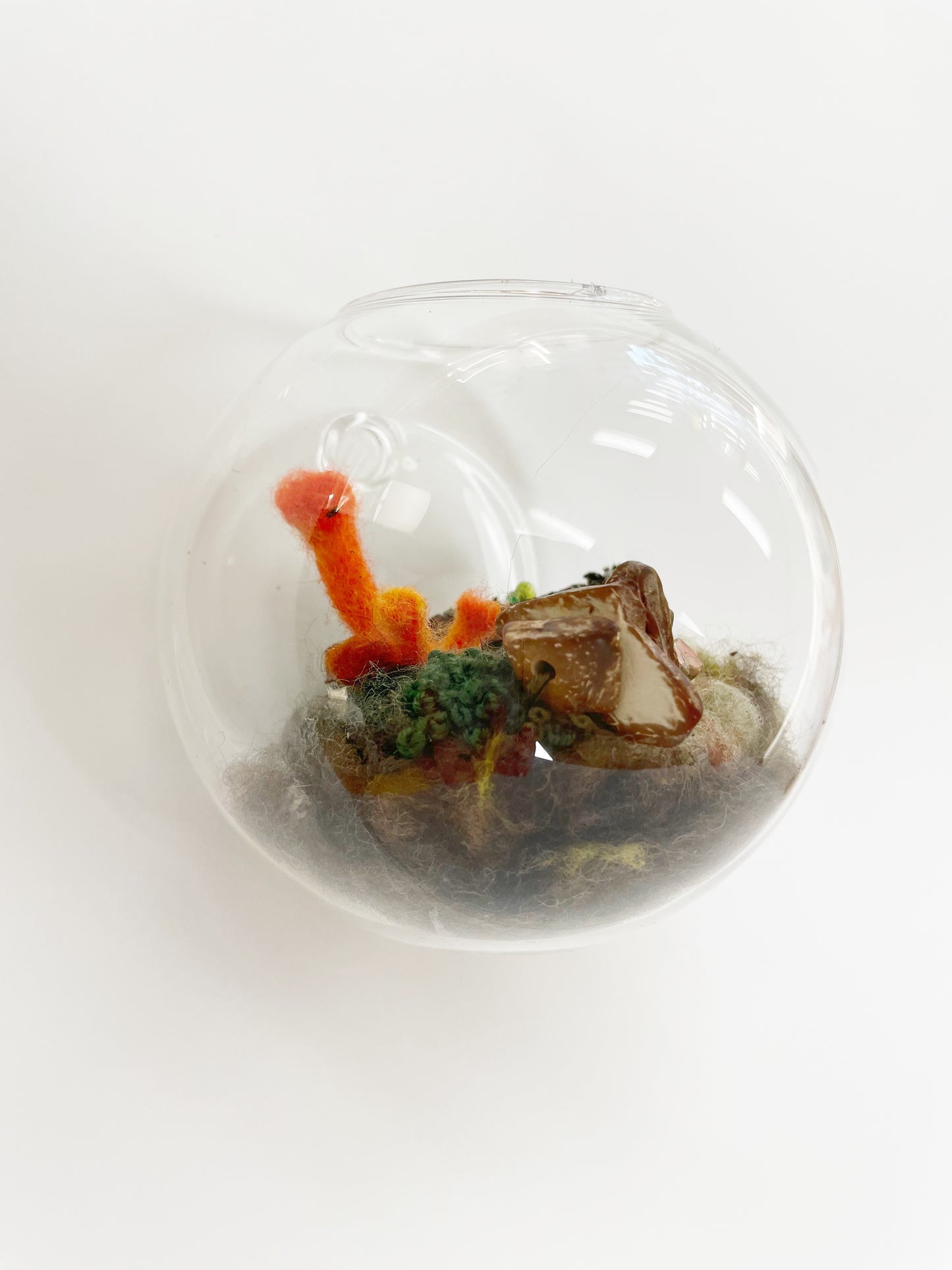 Wall Hanging Terrarium by Pillbug Designs