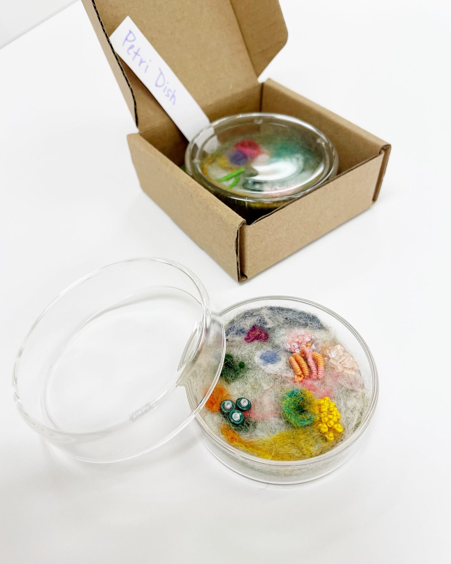 Petri Dish (Orange) by Pillbug Designs