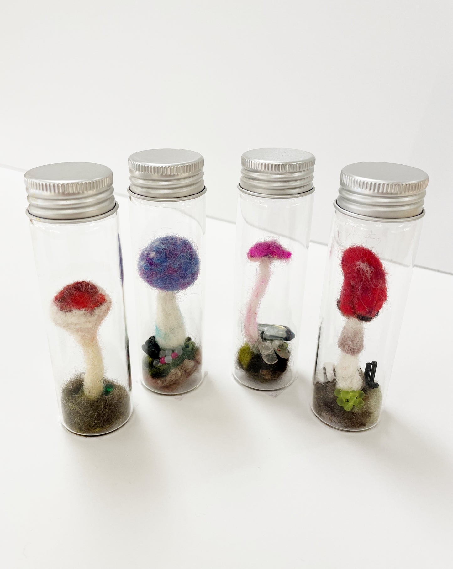 Screw Top Mushroom Specimen by Pillbug Designs