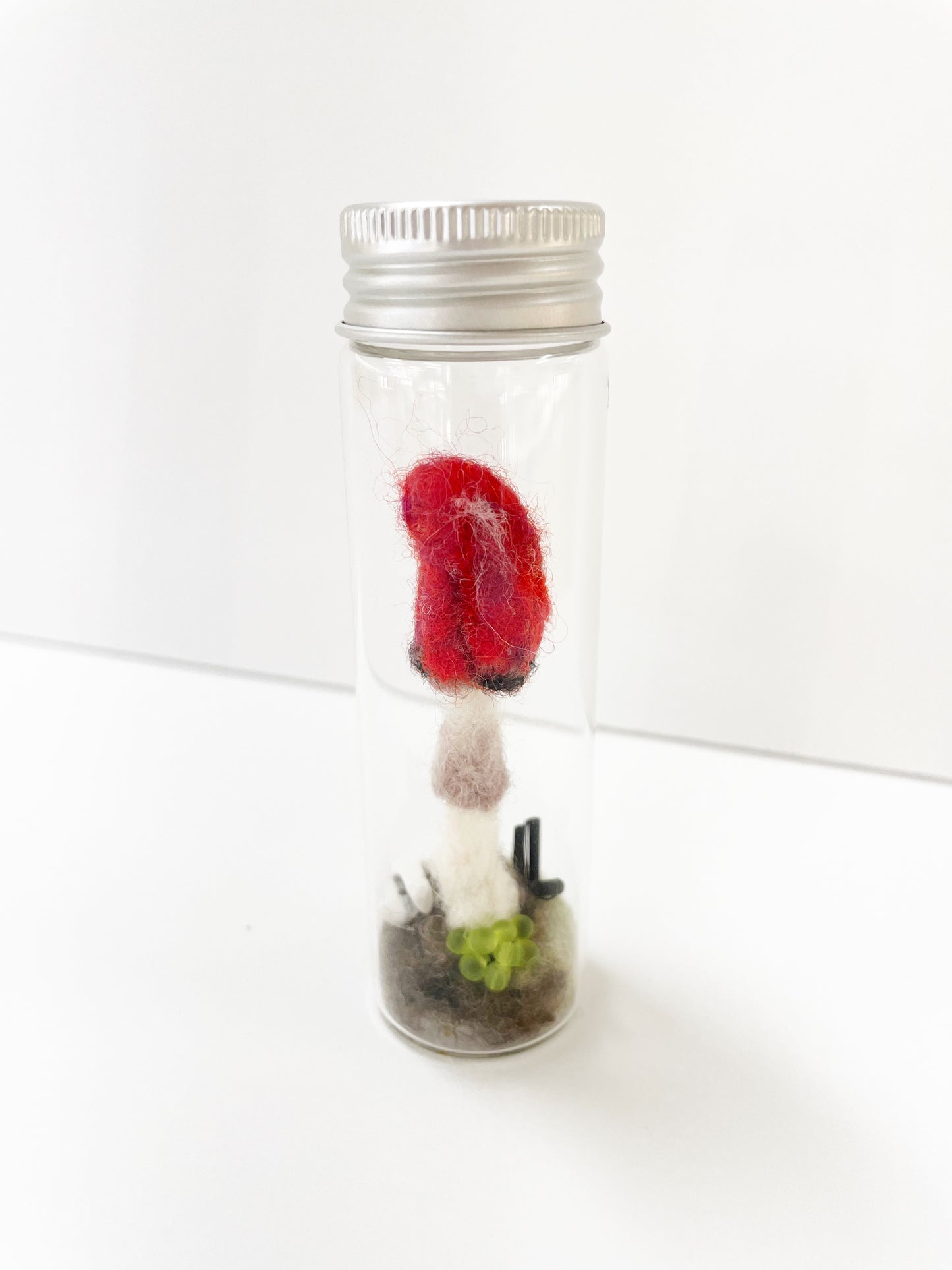 Screw Top Mushroom Specimen by Pillbug Designs