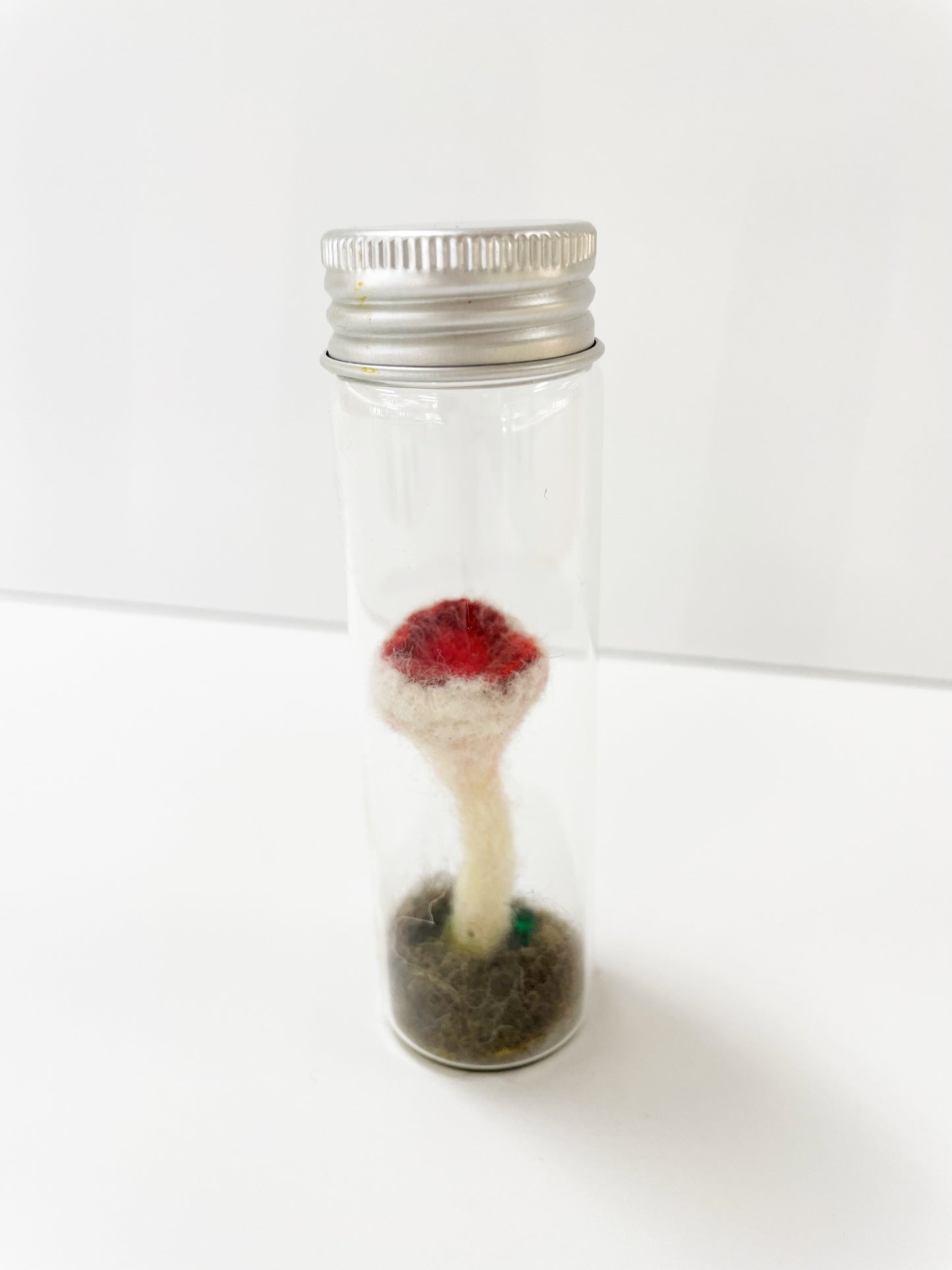 Screw Top Mushroom Specimen by Pillbug Designs