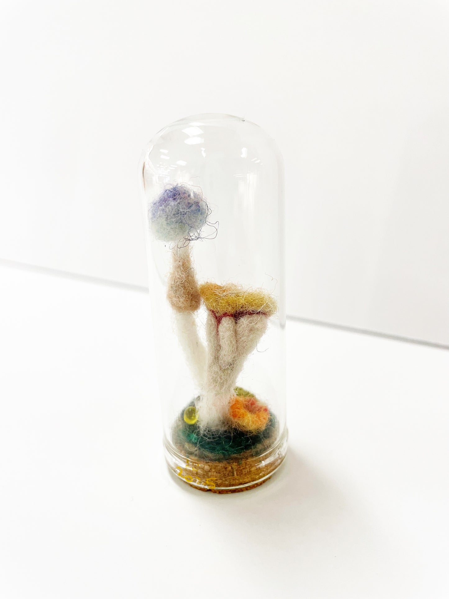 Dome Mushroom Specimen by Pillbug Designs