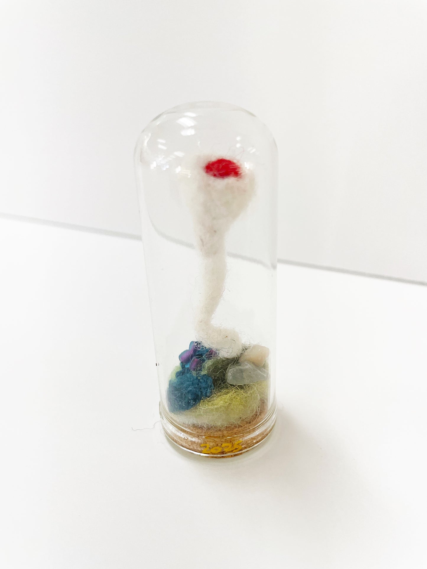 Dome Mushroom Specimen by Pillbug Designs