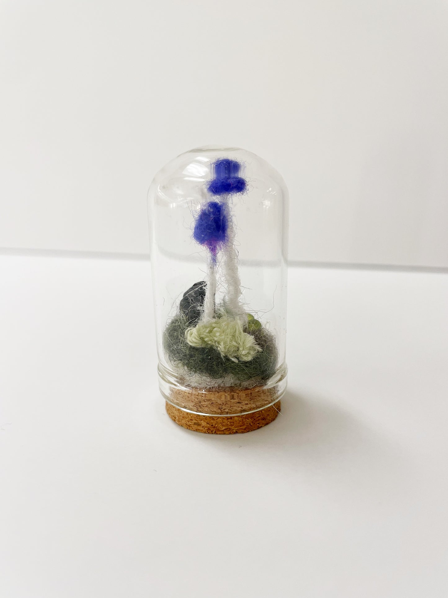 Dome Mushroom Specimen by Pillbug Designs