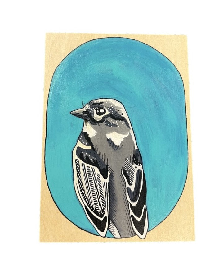 Dusky Flycatcher Bird by Steph Davies