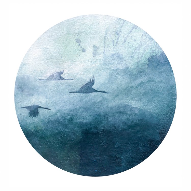 Half Light 8x8 print by Stephanie Barenz