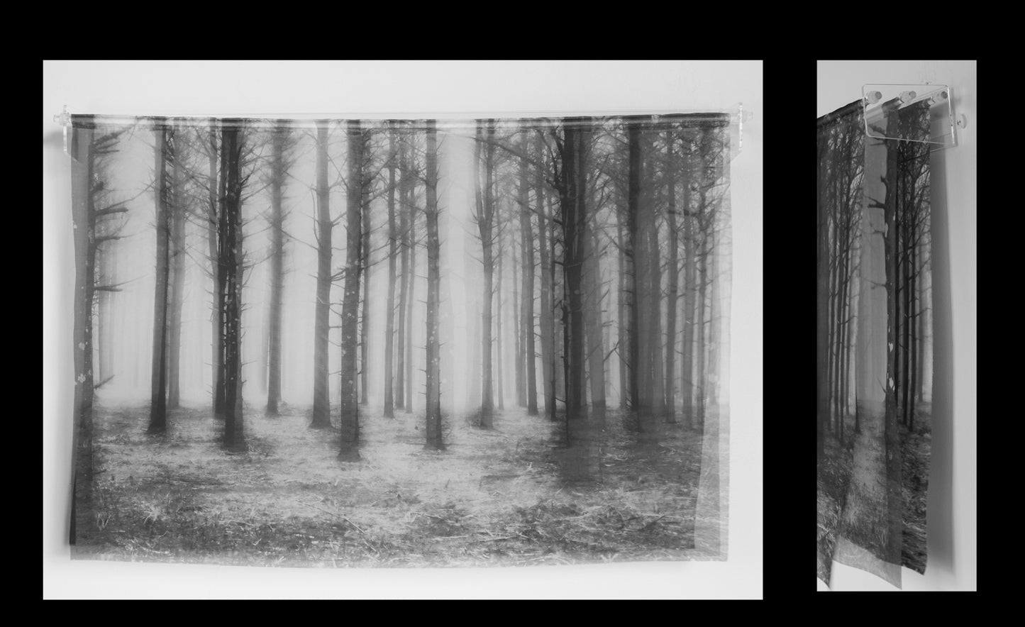 Dark and Deep 25" x 17" x 5" Mixed Media Photographs on silk by Kristine Hinrichs