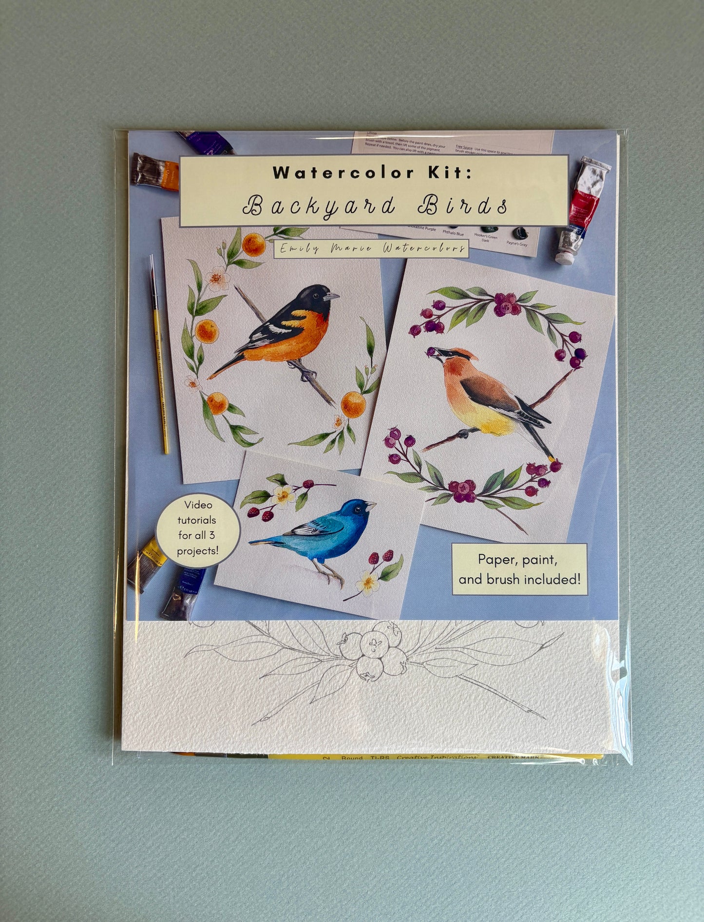 Watercolor Kit: Backyard Birds by Emily Marie