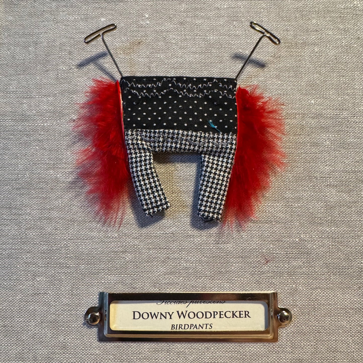 Downy Woodpecker Birdpants by Pillbug Designs