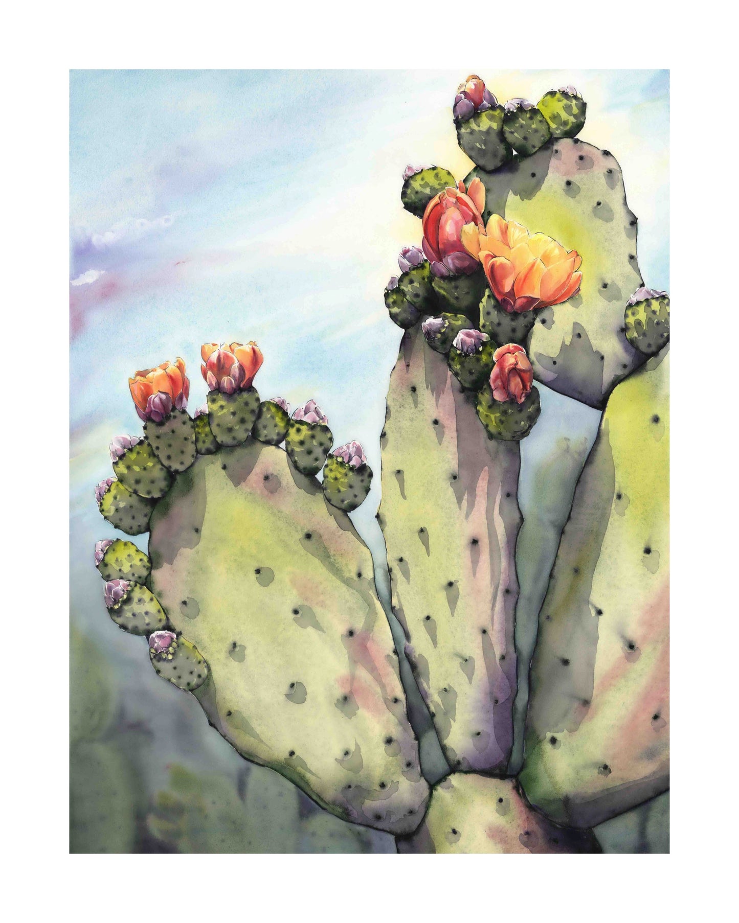 Prickly Pear Cacti: Jalisco MX art print by Emily Marie