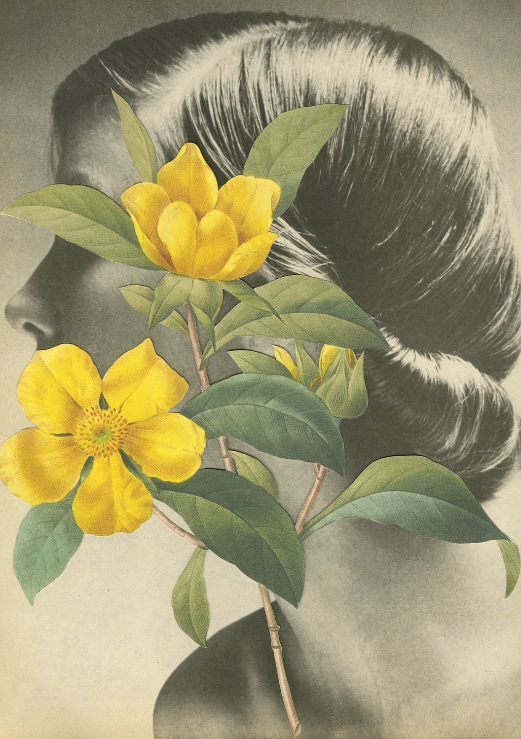 Floral Femmes 2 Art Prints