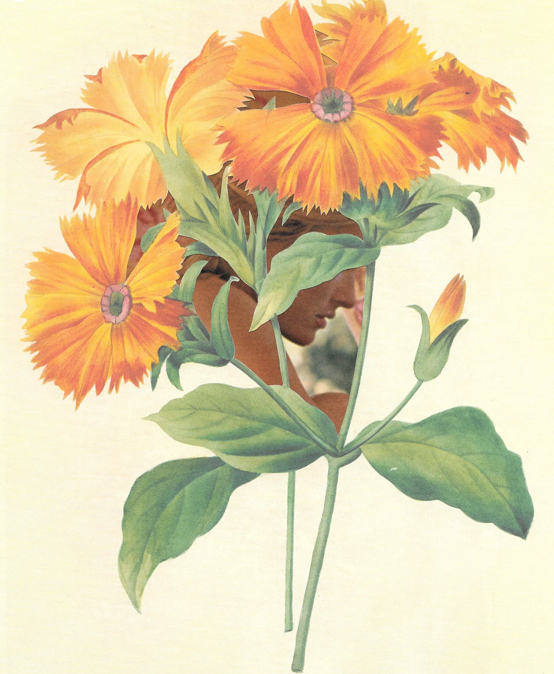 Vintage Floral Femmes Art Prints