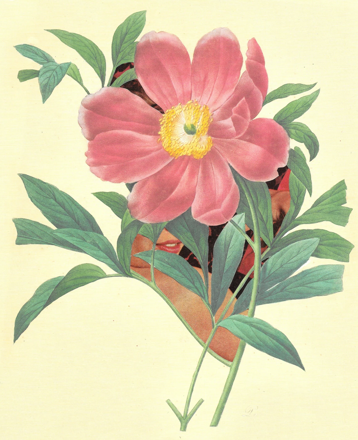 Vintage Floral Femmes Art Prints