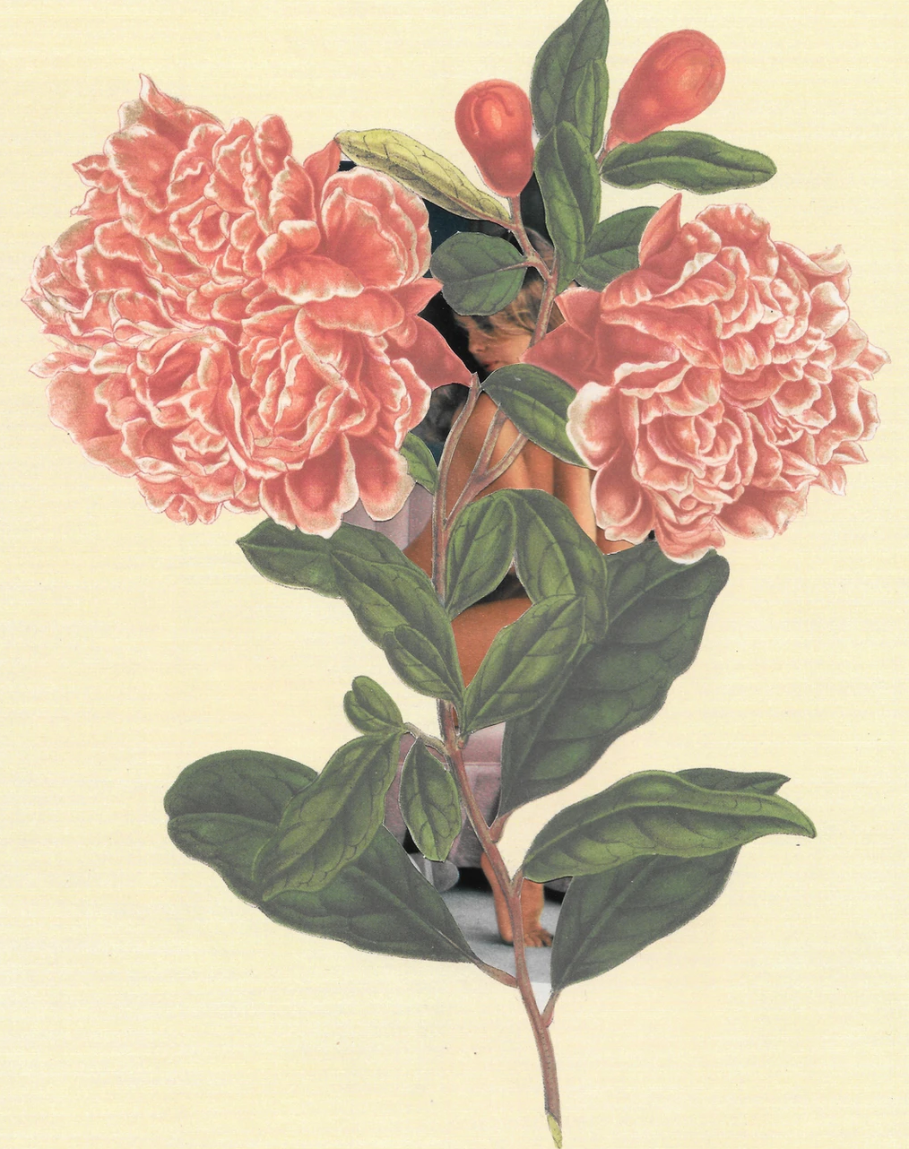Vintage Floral Femmes Art Prints