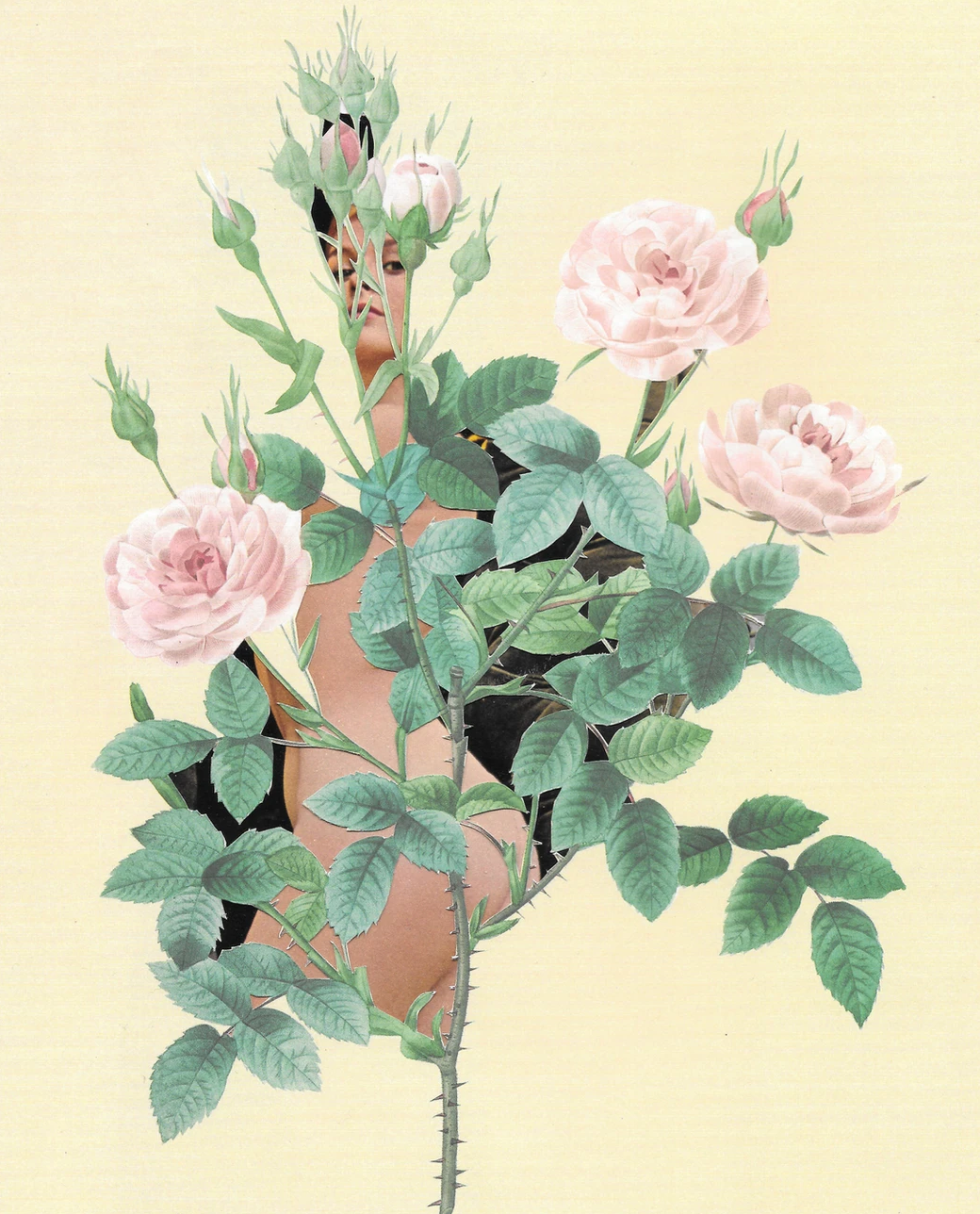 Vintage Floral Femmes Art Prints