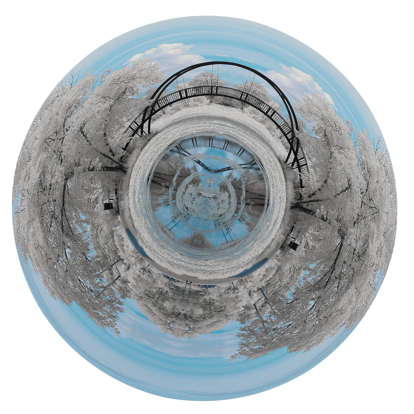 Wonderland 12" Photograph Printed on Metal by Kat Shanahan