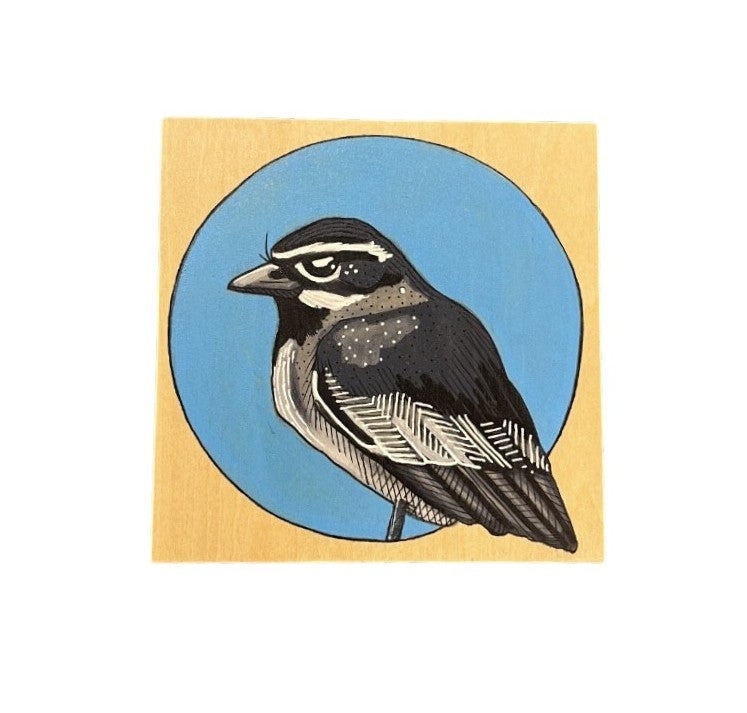 Black-Throated Sparrow Bird by Steph Davies