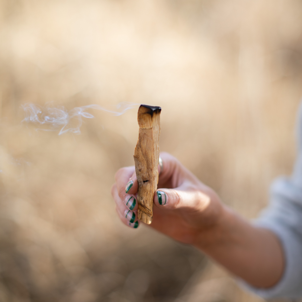 Palo Santo Single Stick Bundle