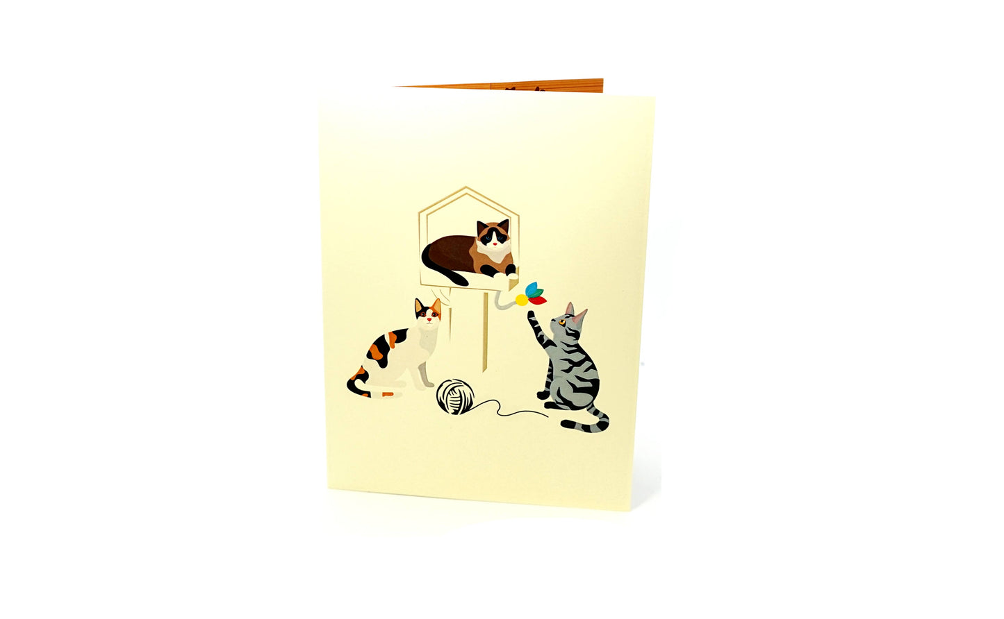 Cats 3D Card