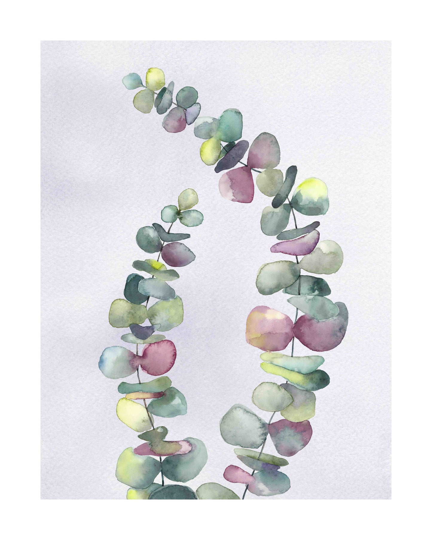 Eucalyptus Branches art print by Emily Marie
