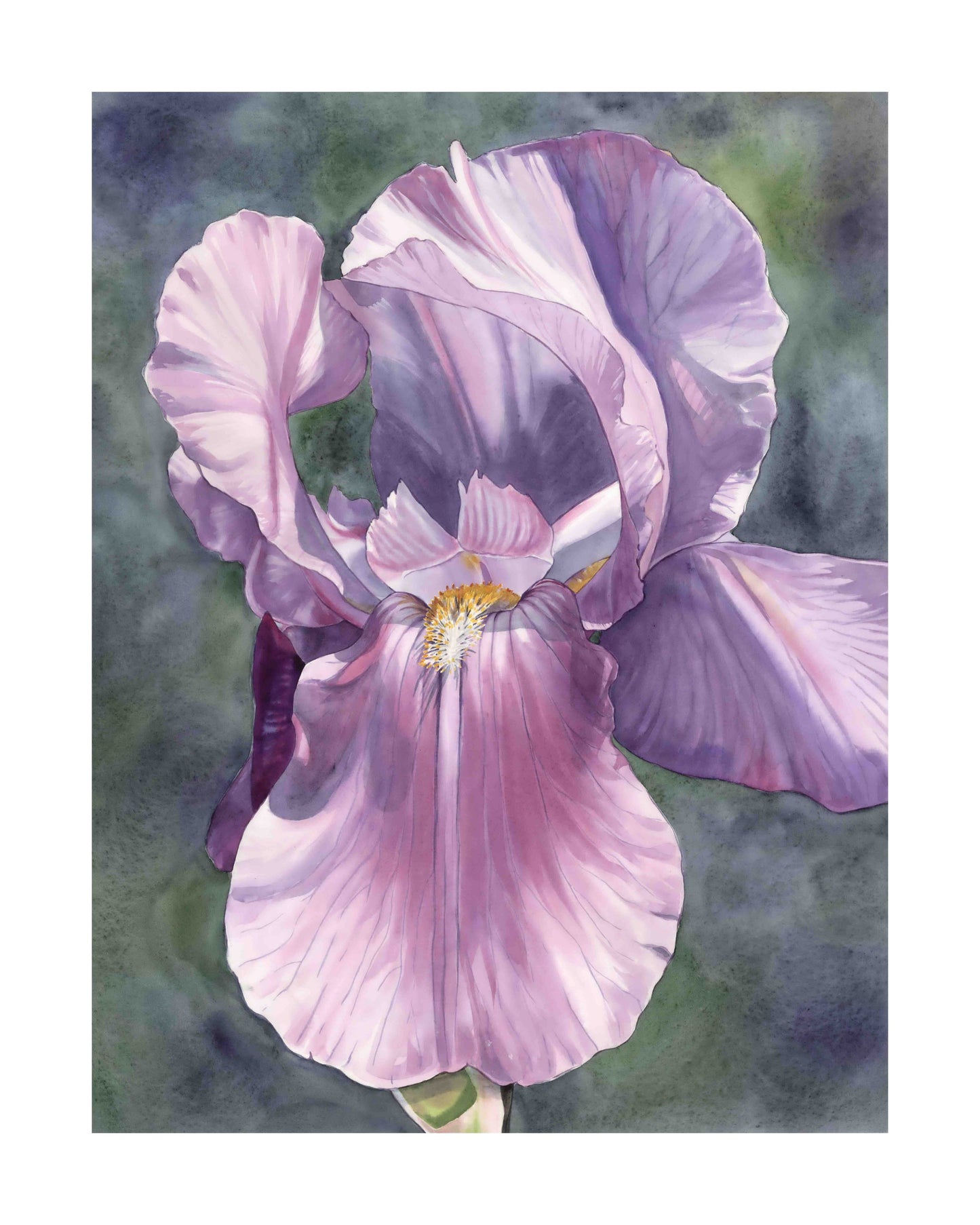 Iris Down the Street art print by Emily Marie
