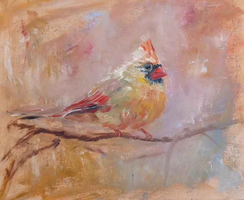 Lady Cardinal in Winter Art Print by Judy Robb