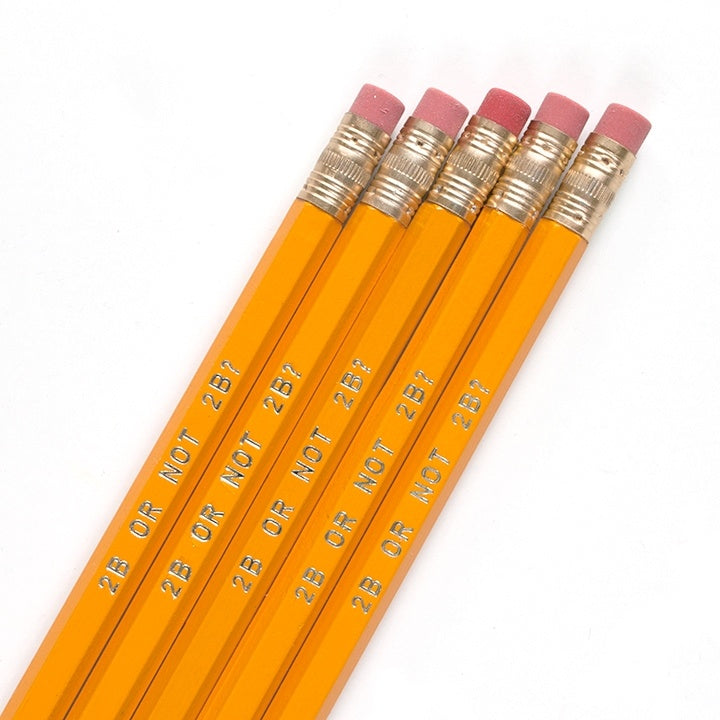 2B or not 2B pencil set
