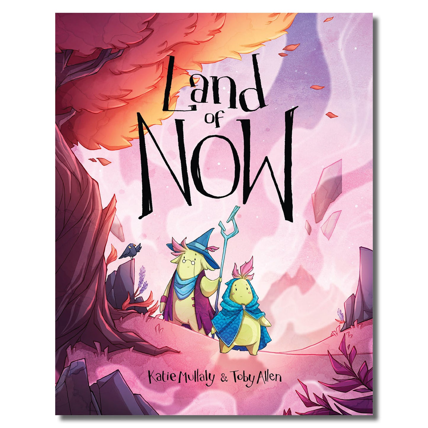 Land of NOW Children's Book