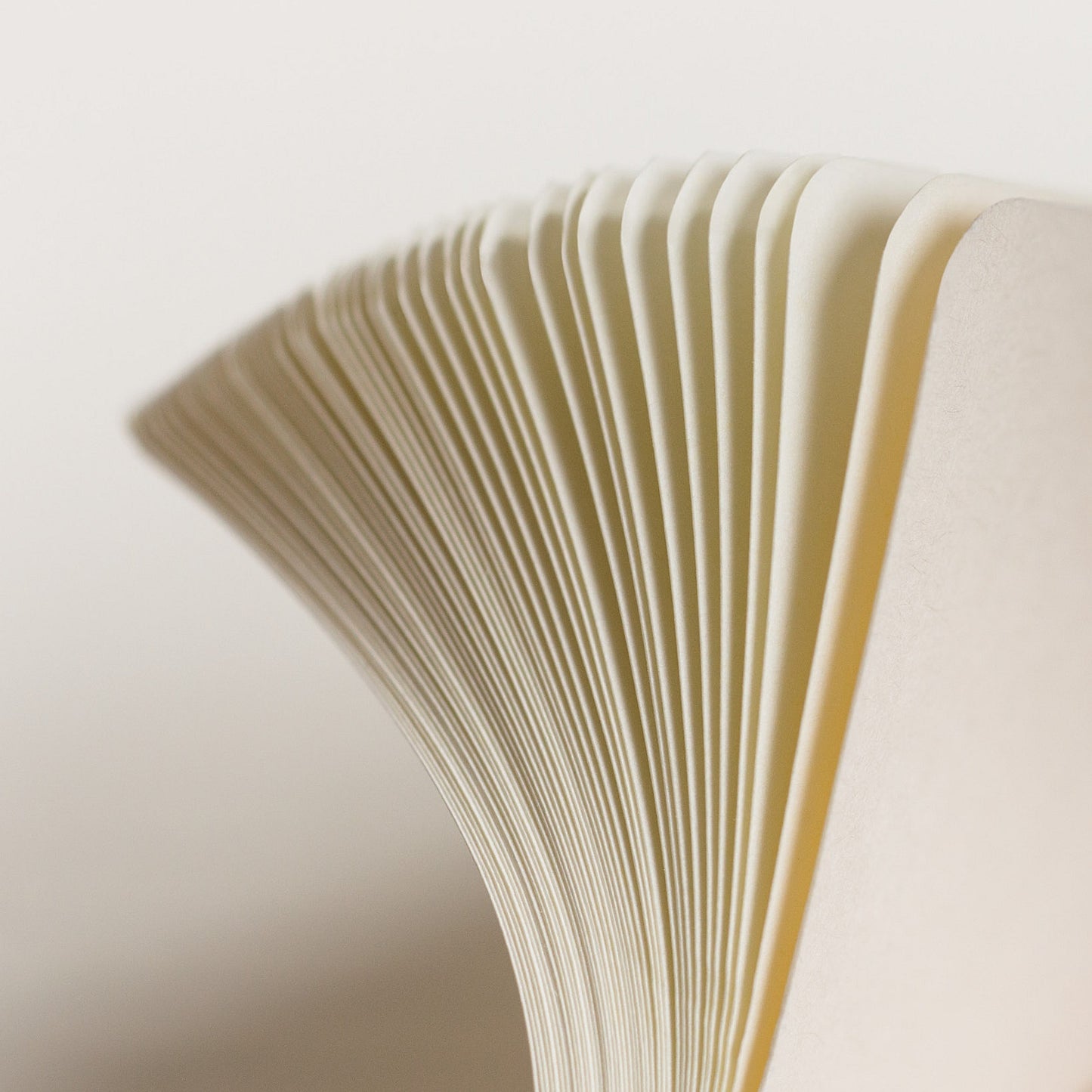 Notebook Hardcover Pocket (A6) - 187 pages - Ruled