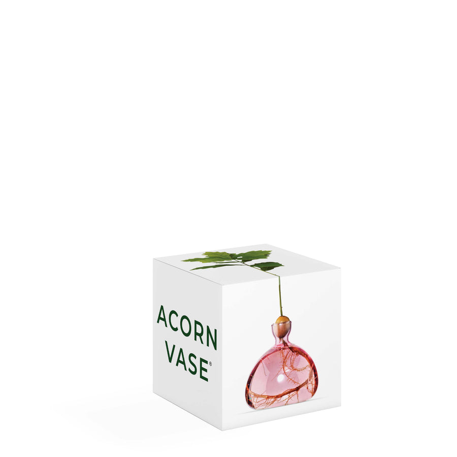 Acorn Vase - Choose Color
