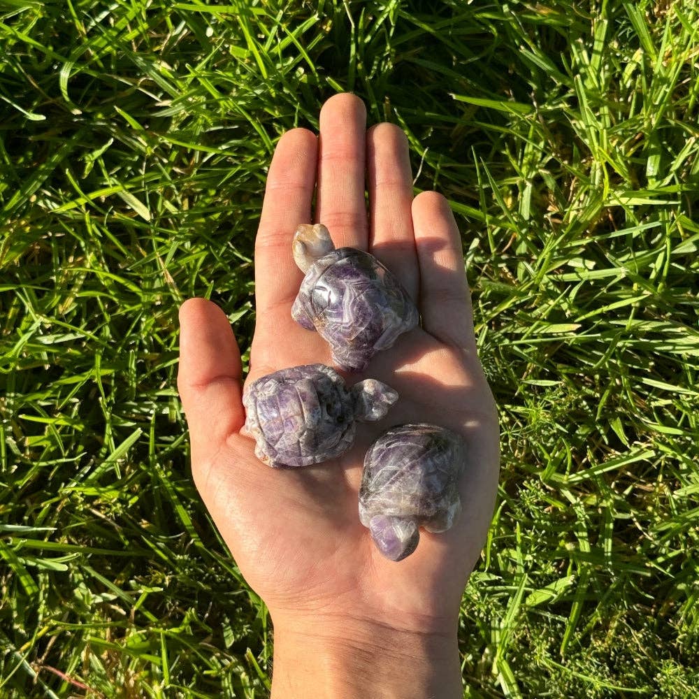 Crystal Turtle - Amethyst