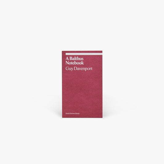 A Balthus Notebook Book (ekphrasis)