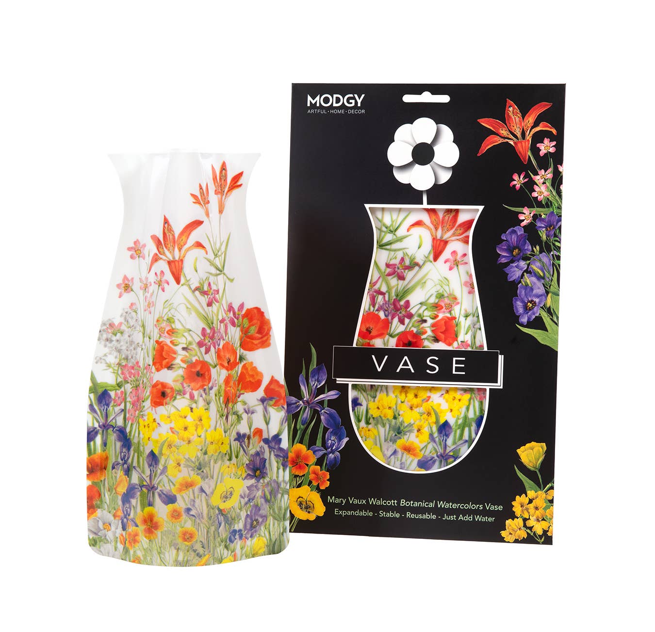 Mary Vaux Walcott Botanicals Expandable Vase