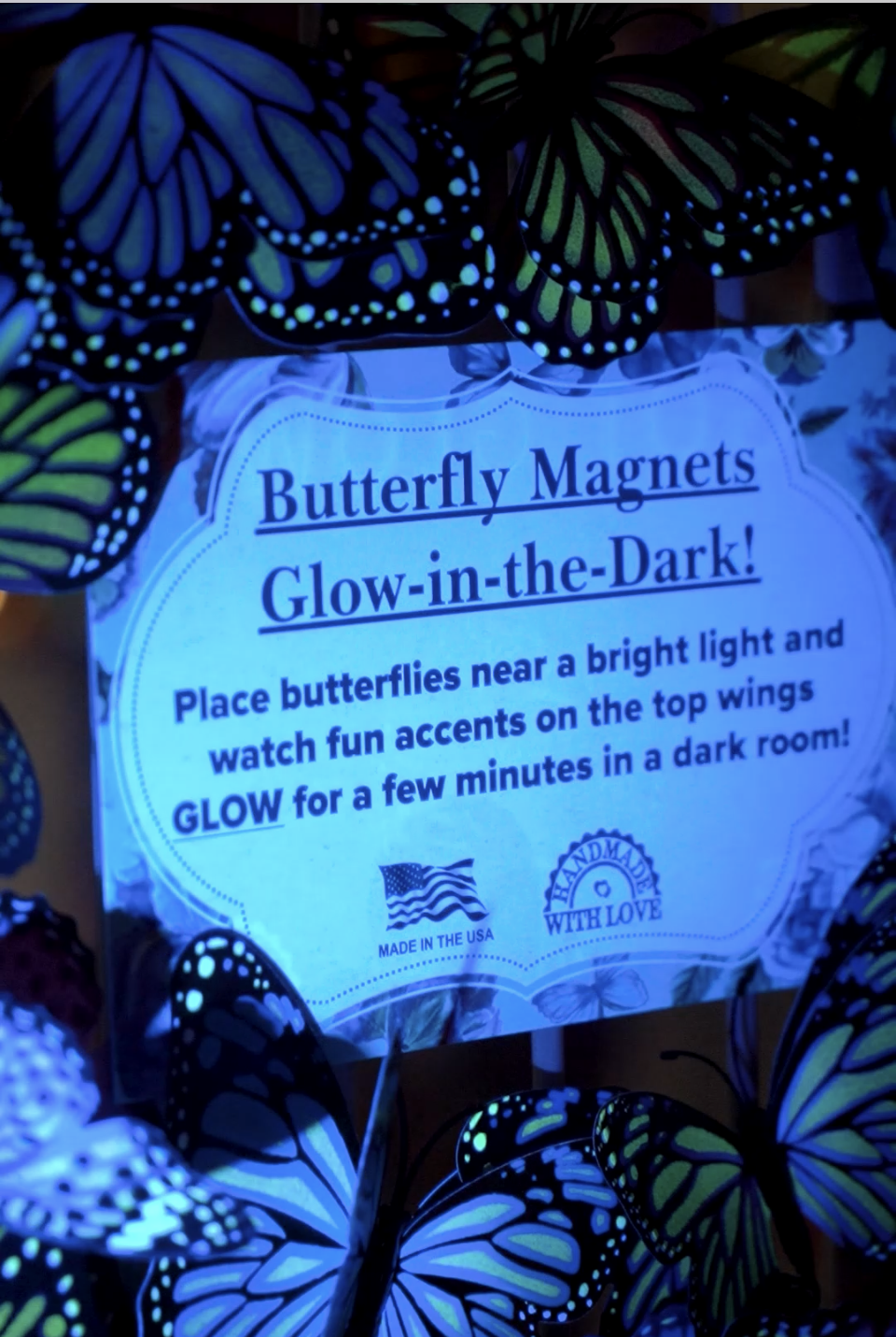Butterfly Magnet GLOW
