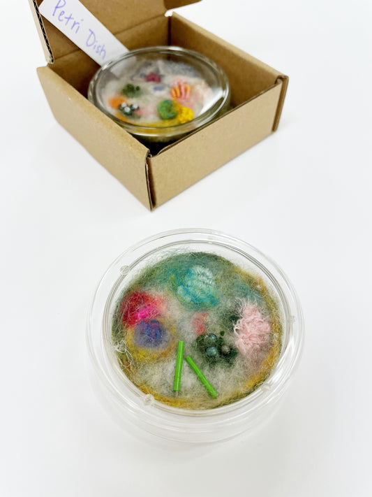 Petri Dish (Green) by Pillbug Designs