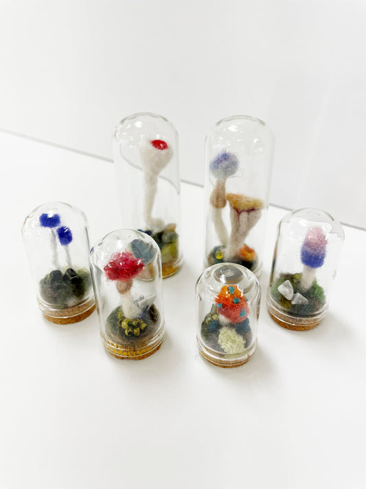 Dome Mushroom Specimen by Pillbug Designs