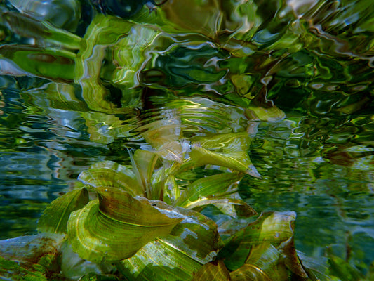 Angle of Incidence, 16" x 20", Photography  by James Arnold