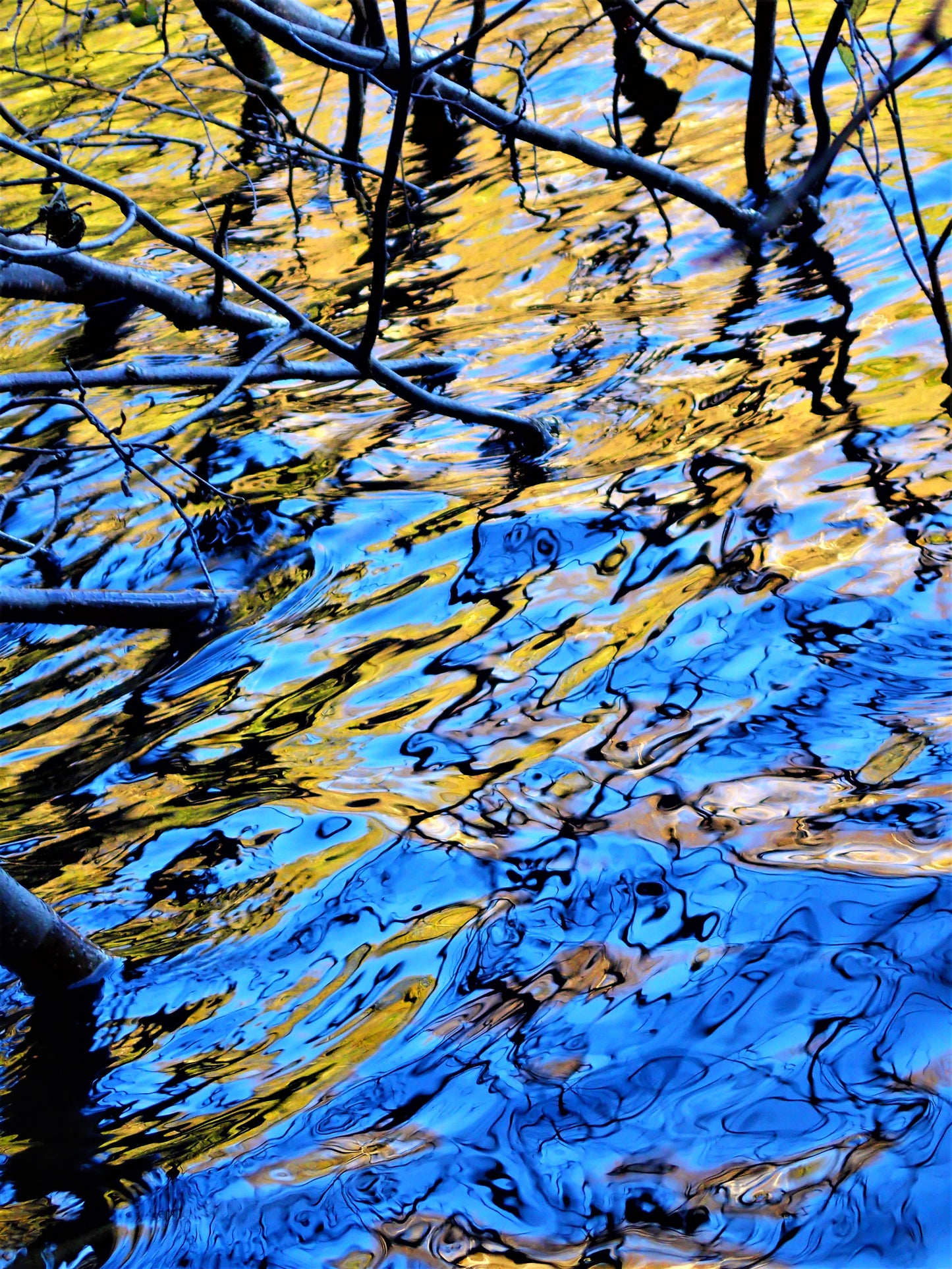 Reflections at Play, 16" x 20", Photography  by James Arnold